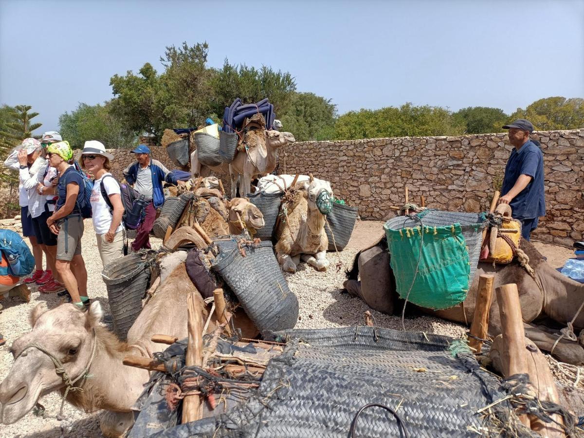 西迪考乌奇 Dar Albatros旅馆 外观 照片